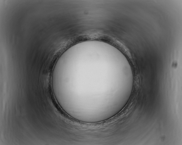 X0000100850018200806200813