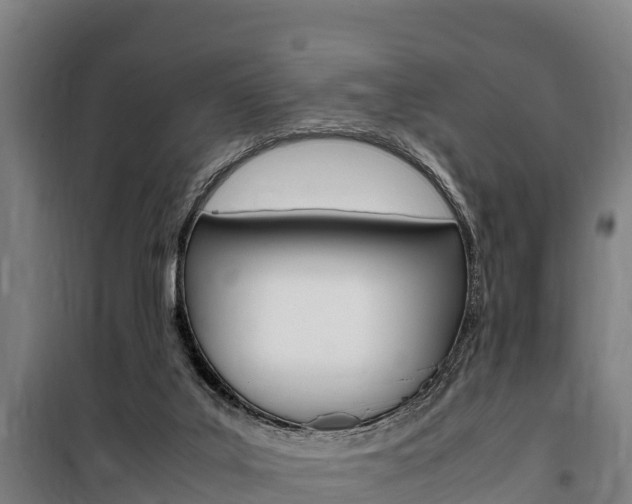 X0000100850019200806200813