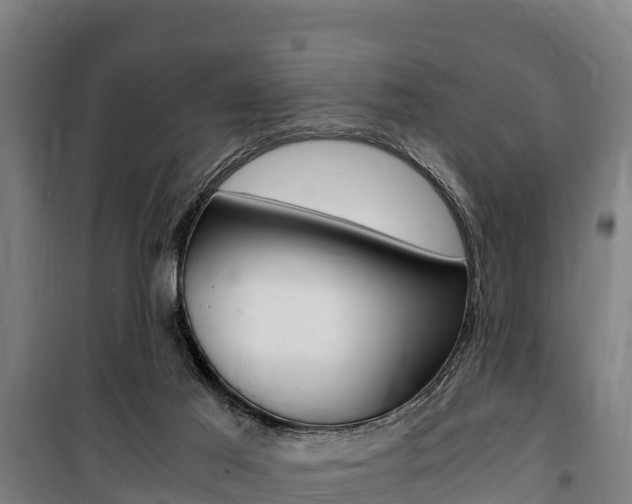 X0000100850021200806200813