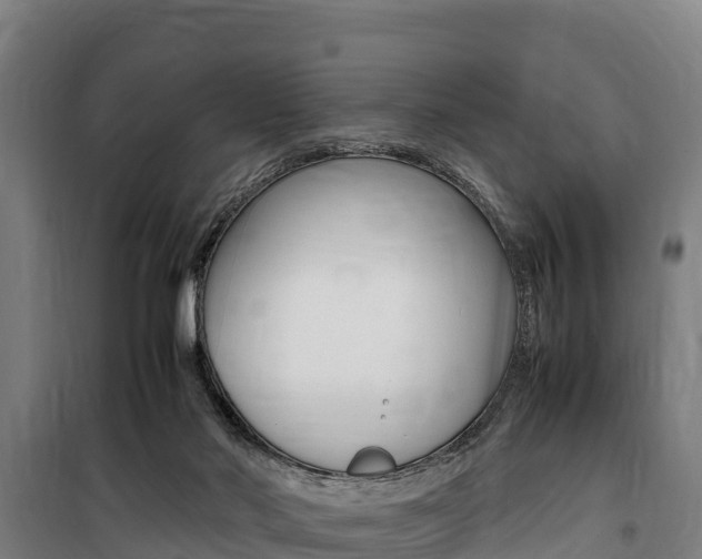 X0000100850022200806200813