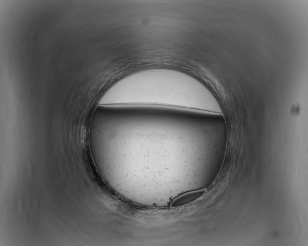 X0000100850025200806200813