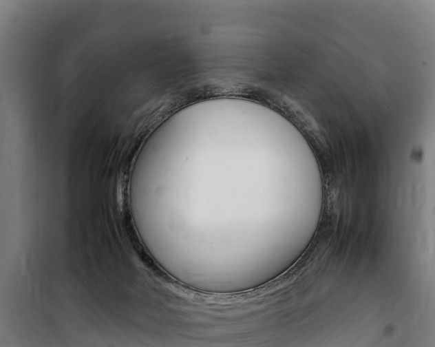 X0000100850026200806200813