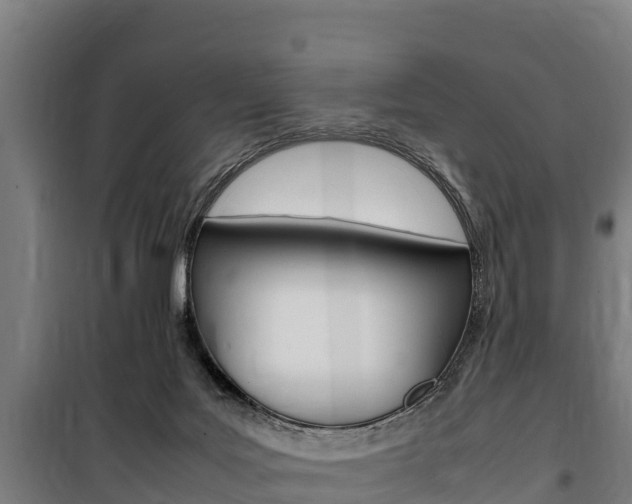 X0000100850027200806200813