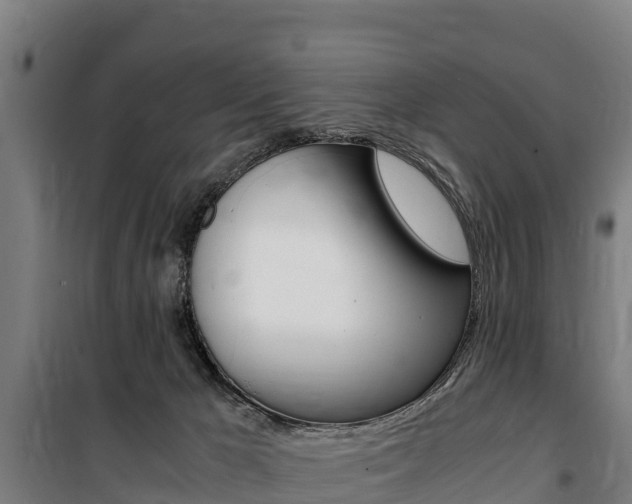 X0000100850029200806200813