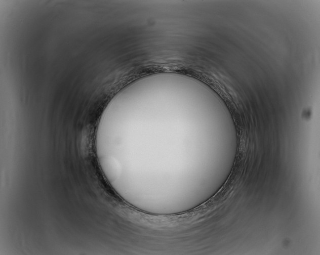 X0000100850030200806200813