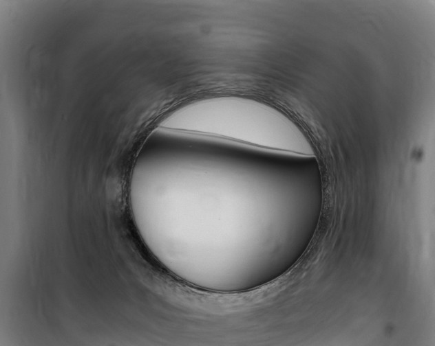 X0000100850031200806200813