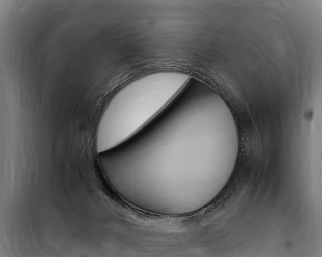X0000100850032200806200813