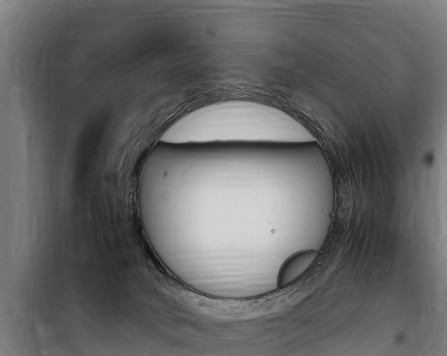 X0000100850034200806200812