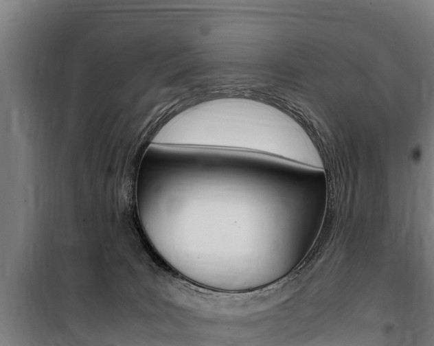 X0000100850035200806200812