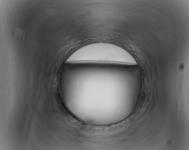 X0000100850037200806200812