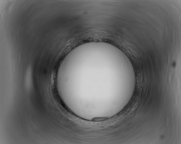 X0000100850038200806200812