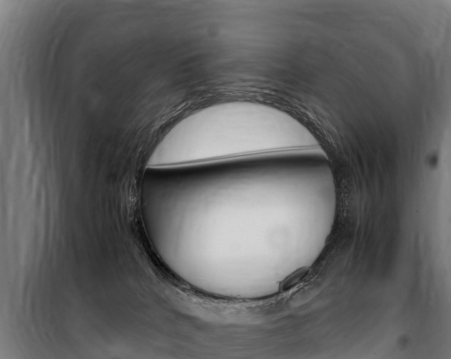 X0000100850040200806200812