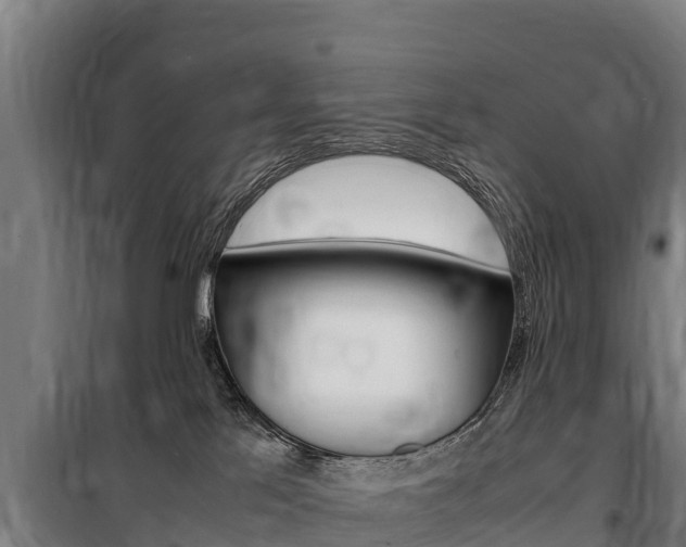 X0000100850041200806200812