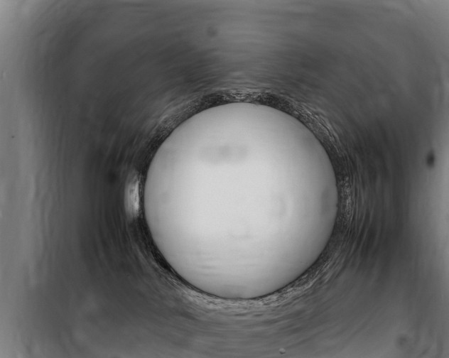 X0000100850042200806200812