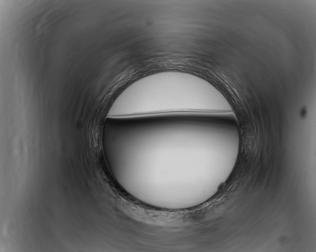 X0000100850044200806200812