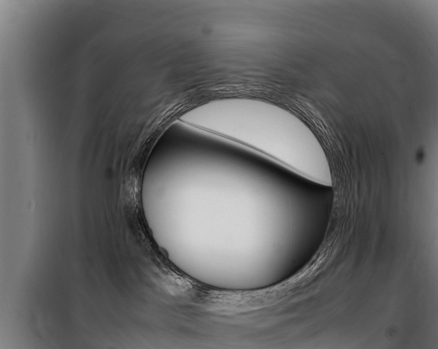 X0000100850045200806200812