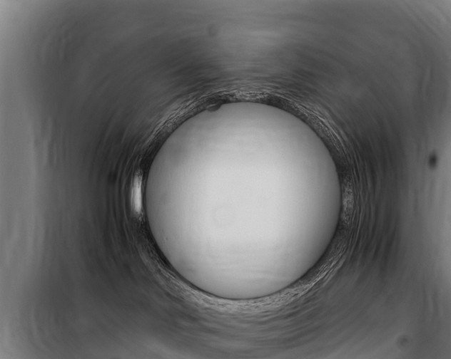 X0000100850046200806200812