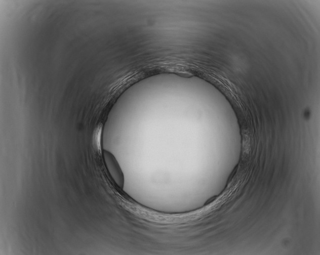 X0000100850047200806200812