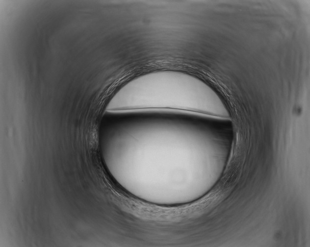 X0000100850048200806200812