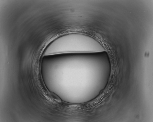 X0000100850050200806200811