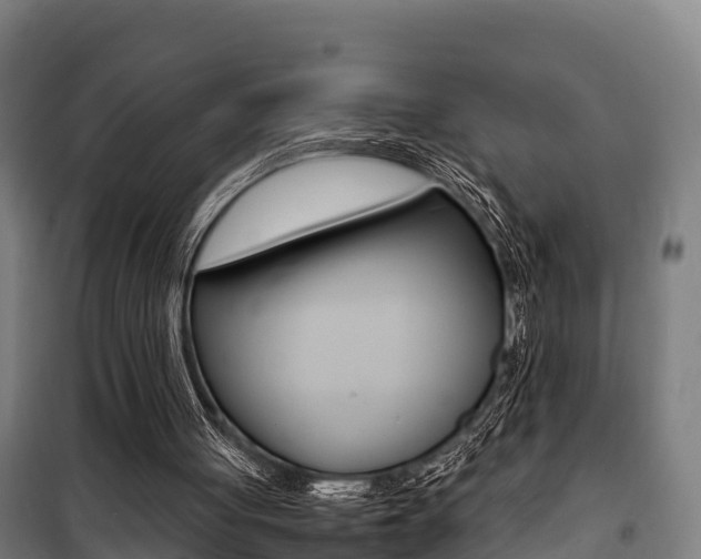 X0000100850051200806200811