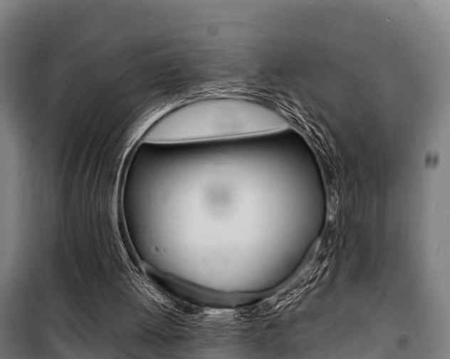 X0000100850052200806200812