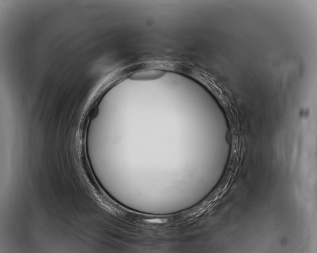 X0000100850053200806200812