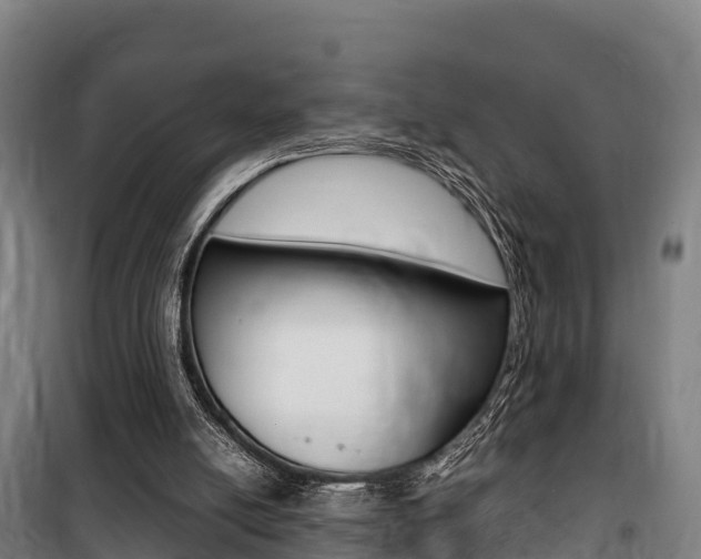 X0000100850054200806200812