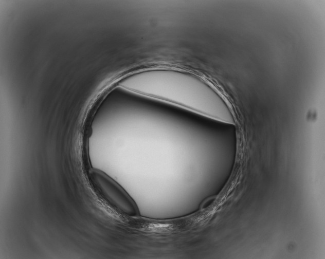 X0000100850055200806200812