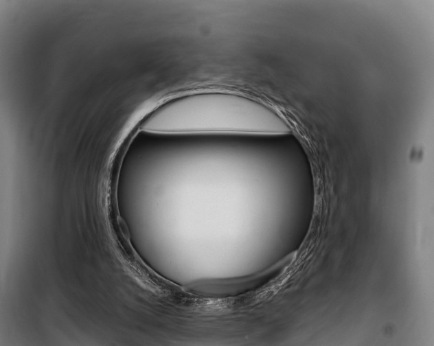 X0000100850056200806200812