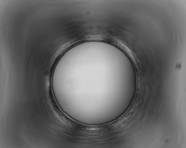 X0000100850059200806200812