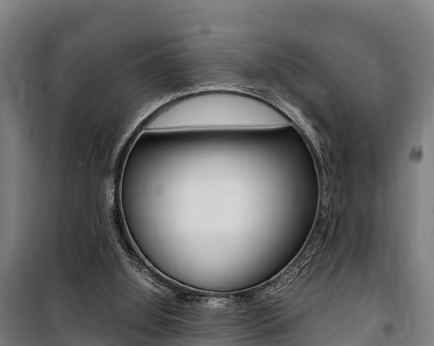X0000100850060200806200812