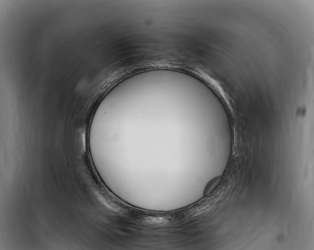 X0000100850061200806200812