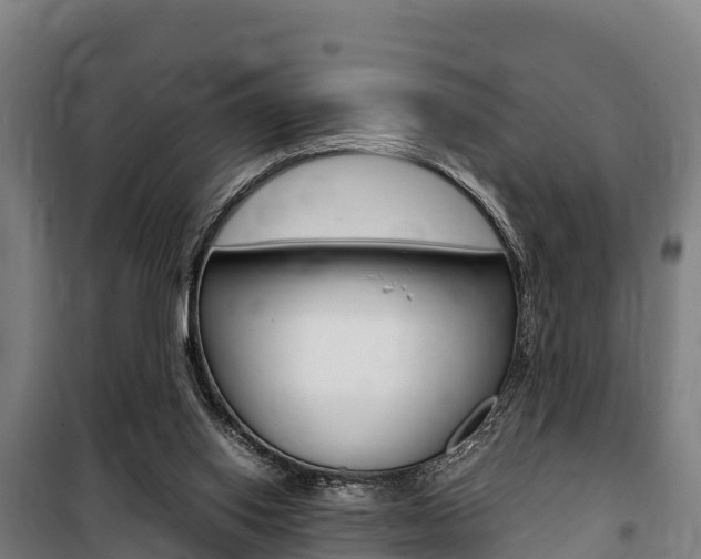 X0000100850062200806200812