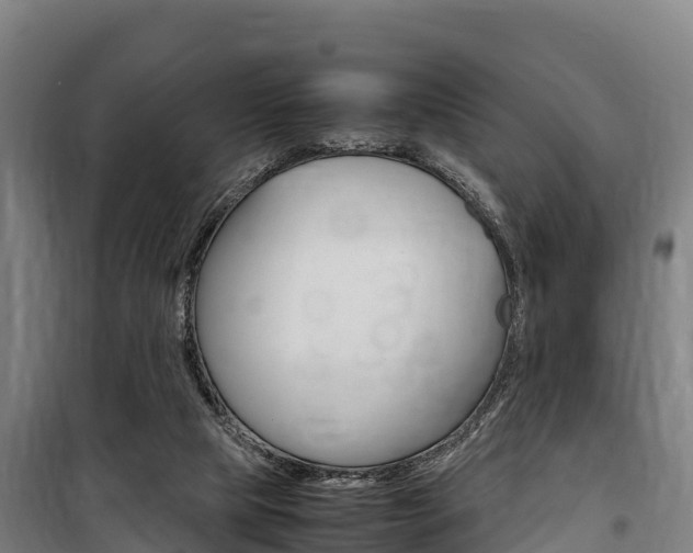 X0000100850065200806200812