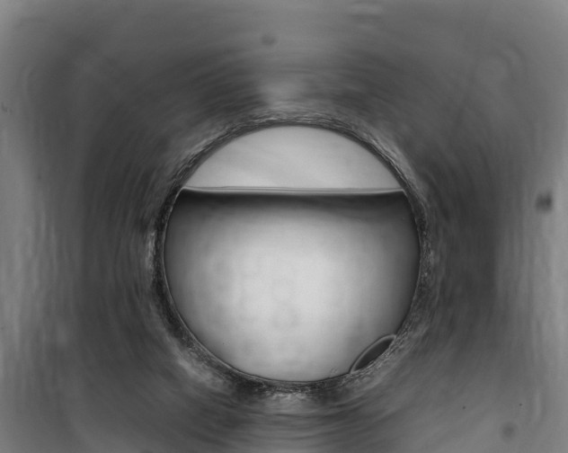 X0000100850066200806200812