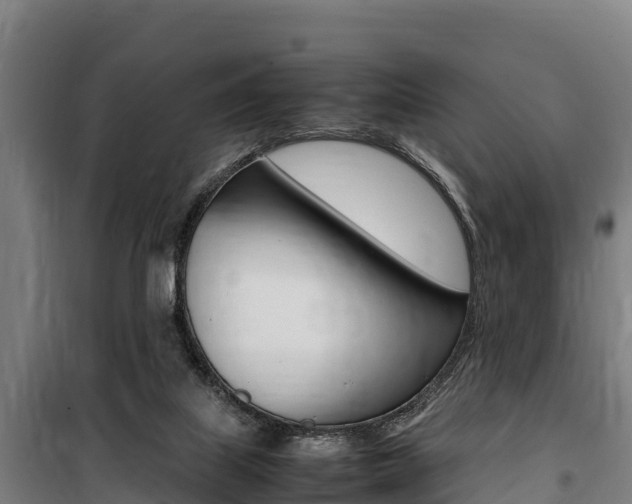X0000100850067200806200812