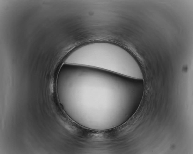 X0000100850068200806200812