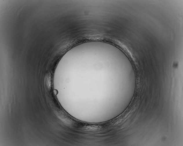 X0000100850069200806200812