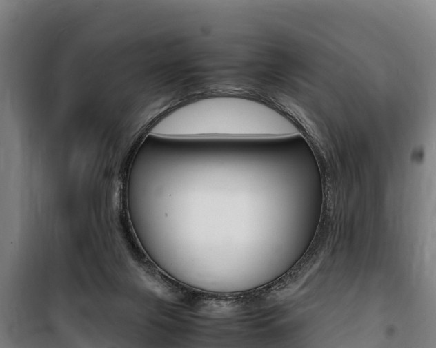 X0000100850071200806200812