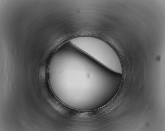 X0000100850072200806200812