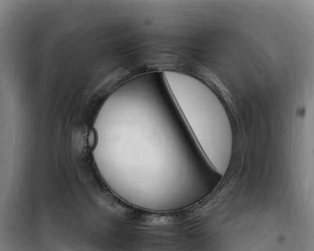 X0000100850073200806200812