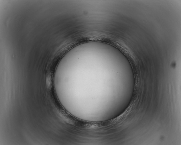 X0000100850074200806200812