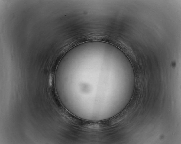 X0000100850075200806200812