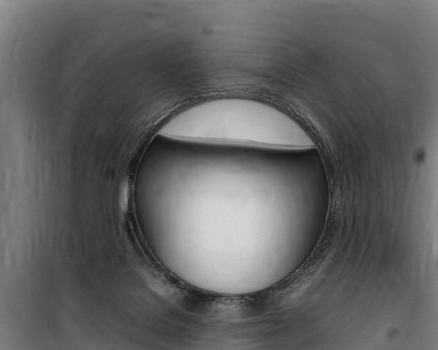 X0000100850076200806200812