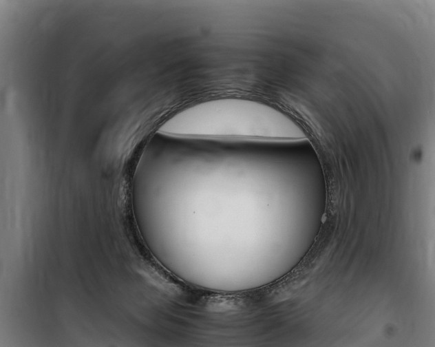X0000100850077200806200812