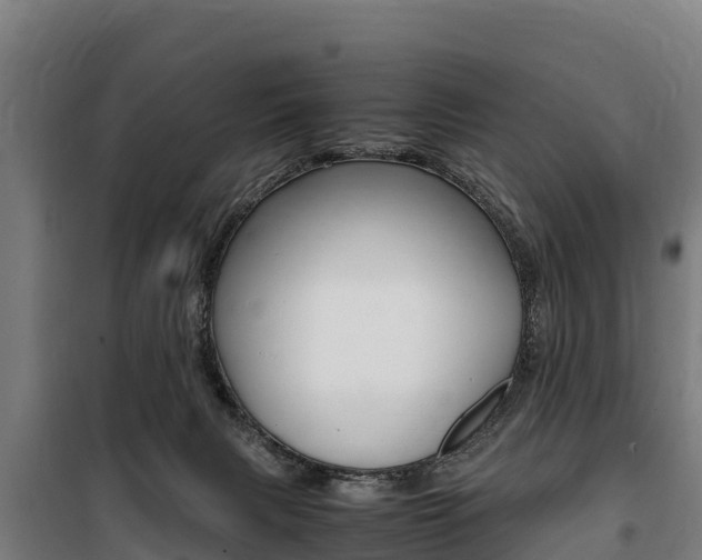 X0000100850079200806200812