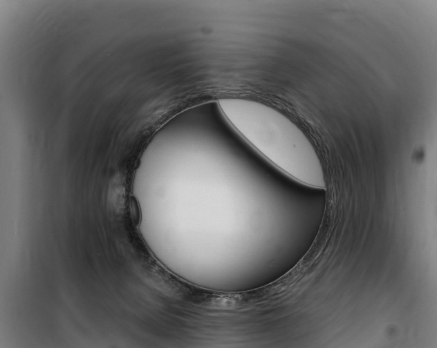 X0000100850080200806200812
