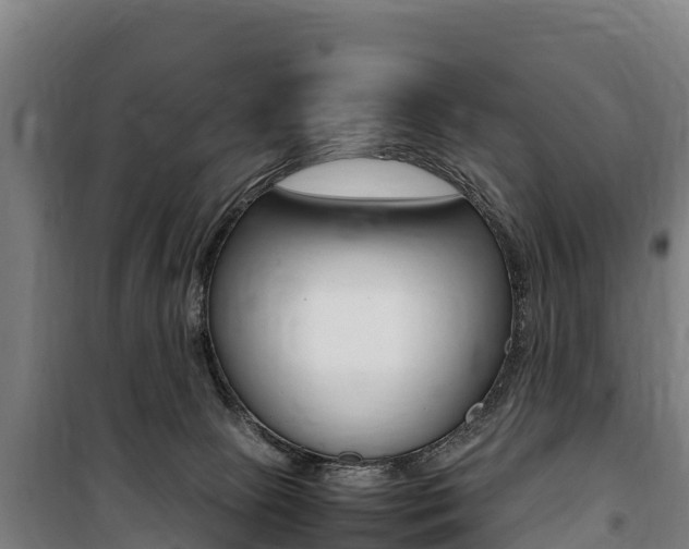 X0000100850081200806200812