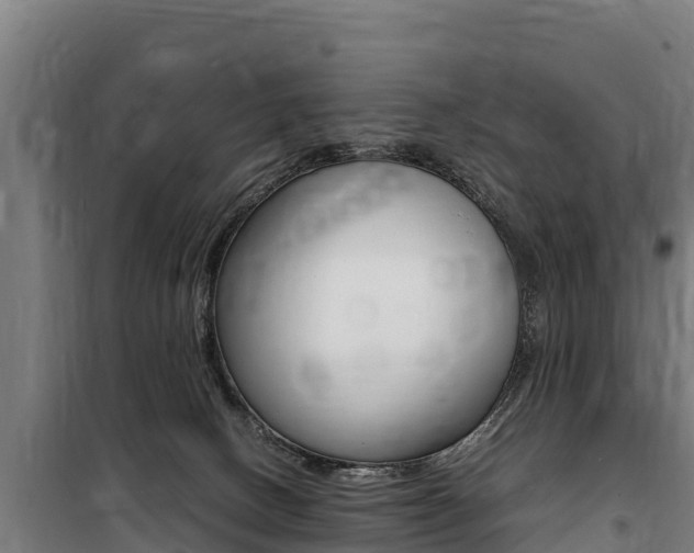 X0000100850082200806200812